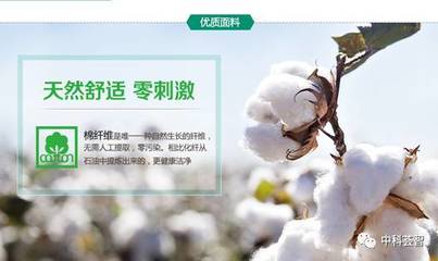 一朵棉花，一个国牌 医用敷料OEM的国民品牌转型与资本之路